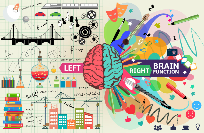 Left,And,Right,Brain,Functions,,The,Left,Side,Is,An
